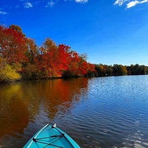 Meet your Posher, Liz